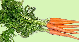 recetas zanahorias